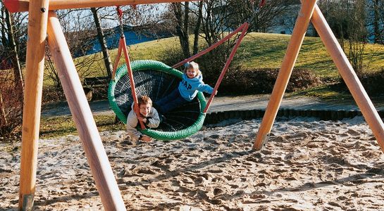 Douglas fir swing frame