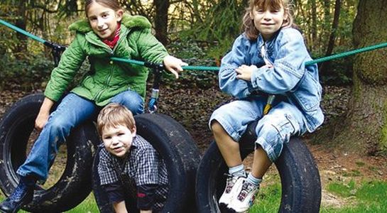 Tyres, for robinia posts