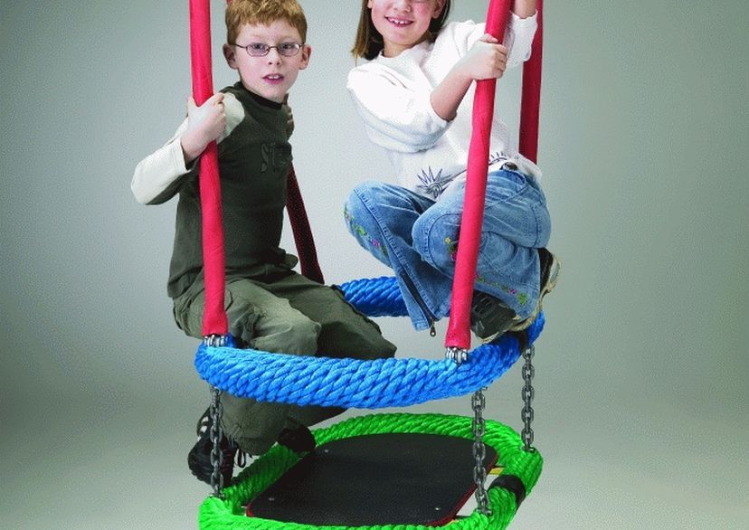 Oval rope-ring swing