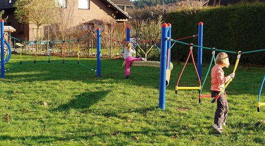 Robinia posts, separate