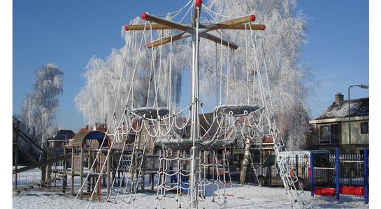 Bird‘s nest tree