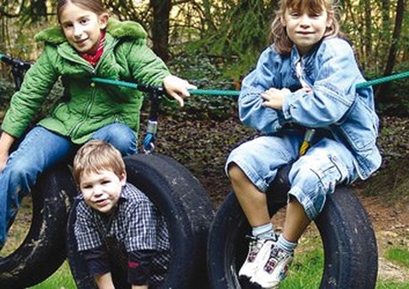 Tyres, for robinia posts