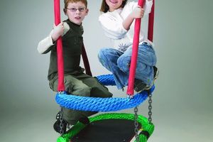 Oval rope-ring swing