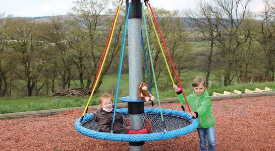 Mini bird's nest carousel