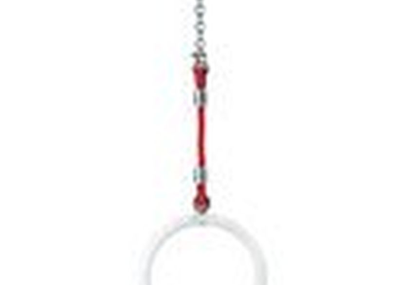 Gymnastics rings per piece with Hercules hanging ropes