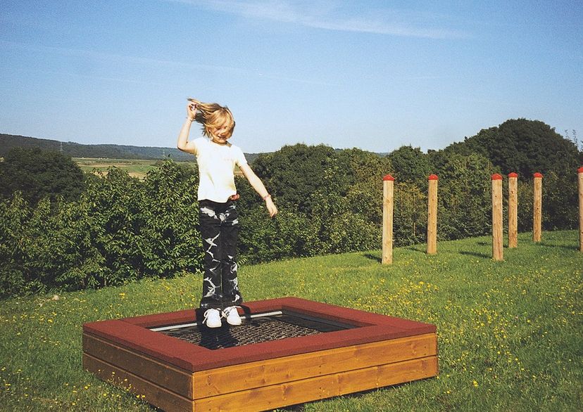 Mini trampoline, freestanding version