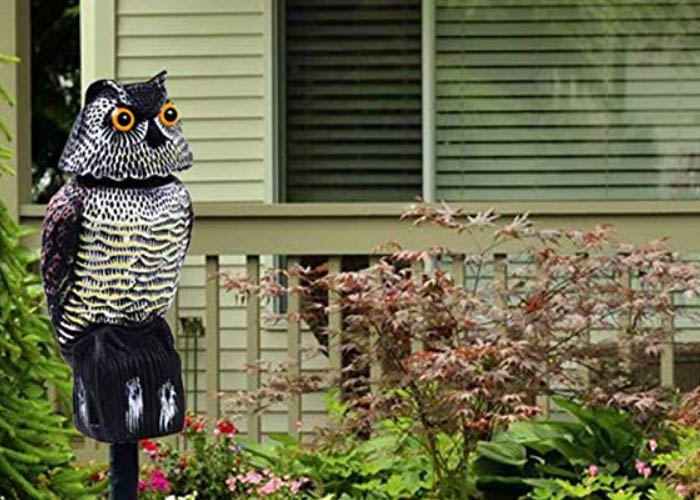 fake owl to deter birds