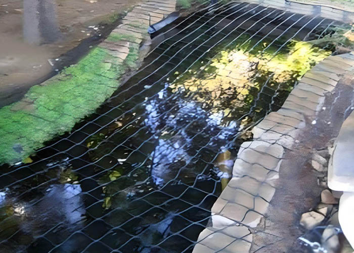 fish under protective netting